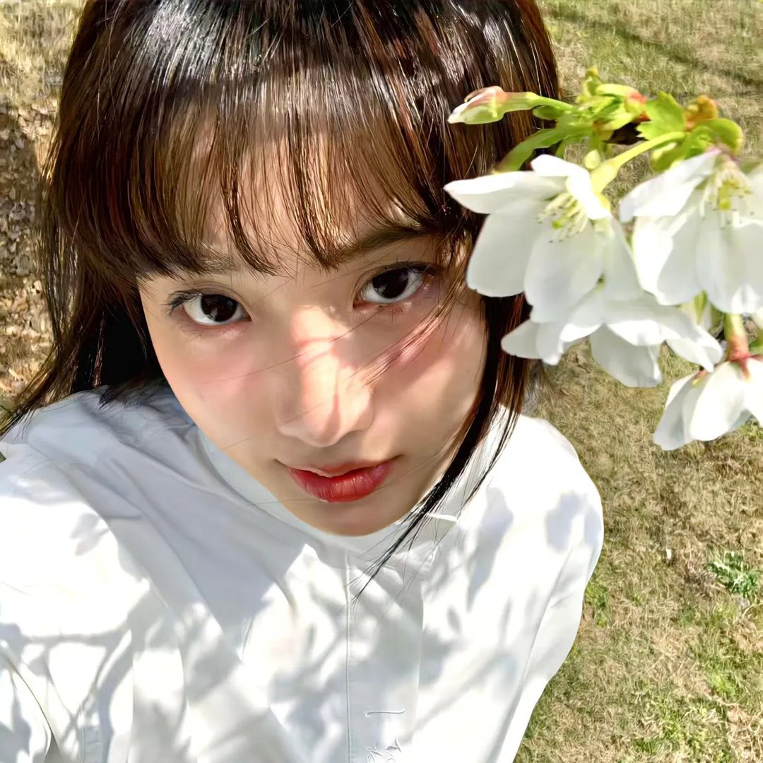 蝴蝶小姐
